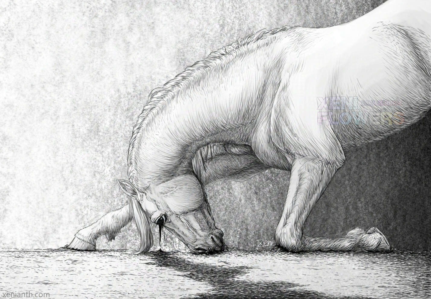 Bleed for Absolution